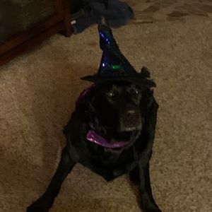 Meet your Posher, Jenelle